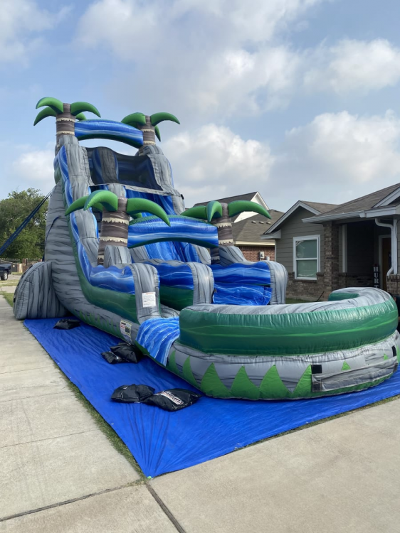 Palm Tree Water Slide